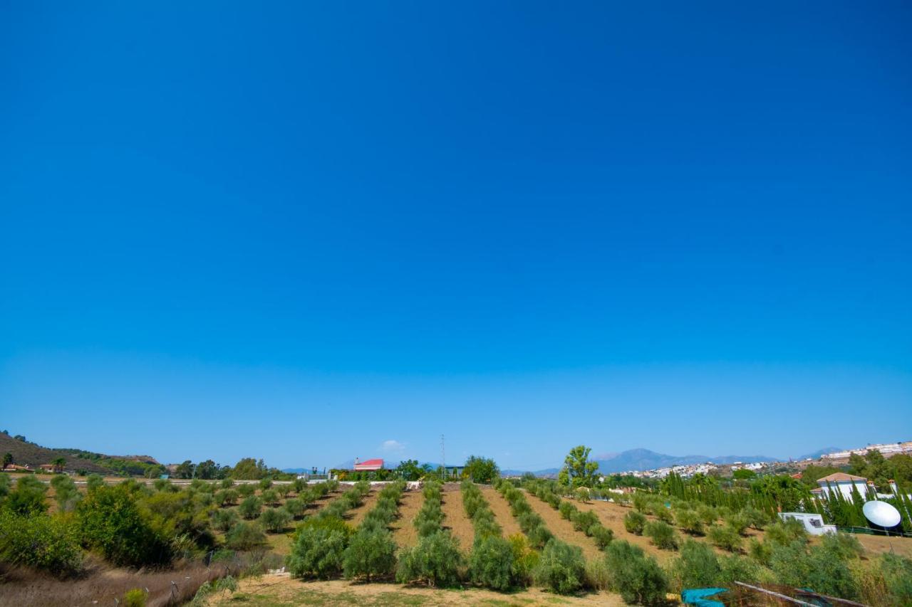 Cubo'S Finca Mis Seis Soles Coín Dış mekan fotoğraf